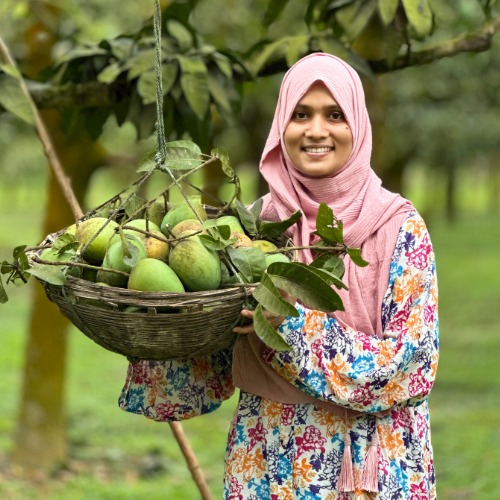 Authentic Rangpur Haribhanga Mango Premium Quality Selection